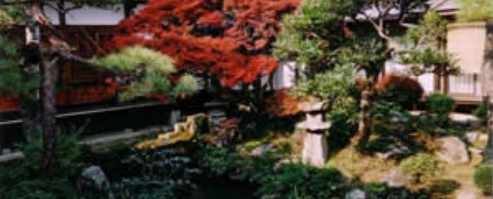 来昌寺の中庭